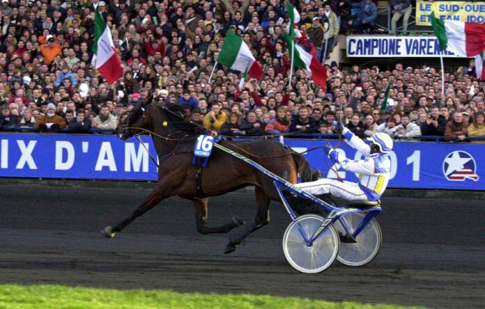 Varenne, il leggendario trottatore italiano morto a 31 anni nell’allevamento LJ di Eboli.