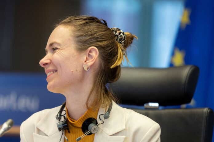 Anna Cavazzini (Verdi/EFA, DE)