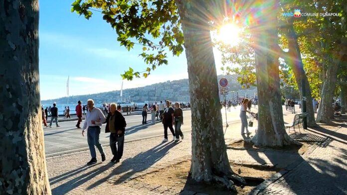 Persone che passeggiano e alberi lungo il lungomare di Napoli con il mare sullo sfondo.