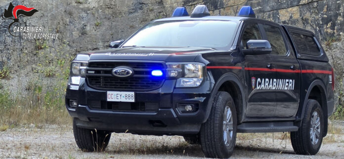 Veicolo dei Carabinieri Forestali con luci blu accese in area esterna.