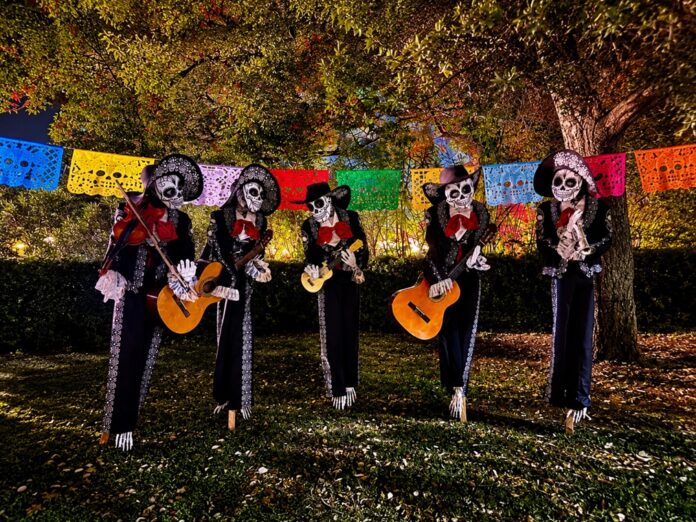 Persone con costumi e trucco ispirati al Día de los Muertos in un'ambientazione notturna con decorazioni colorate.