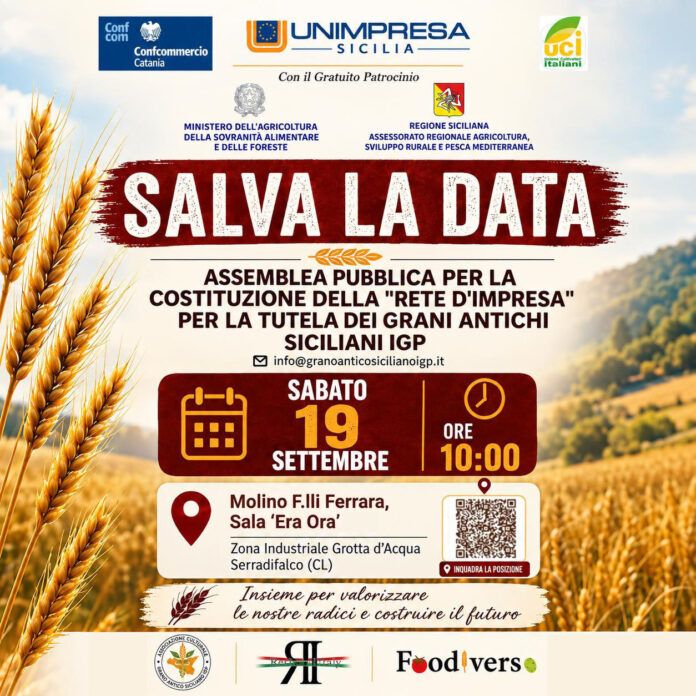 Locandina con testo e grafica promozionale su sfondo di campo di grano, relativa all'assemblea sulla tutela dei Grani Antichi Siciliani IGP.