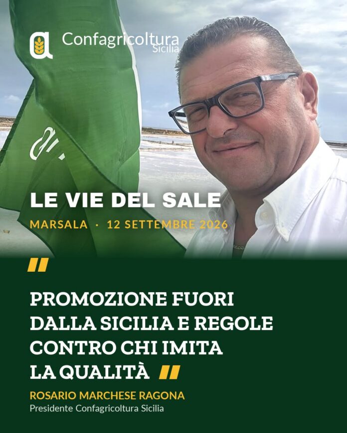 Salina con vasche di acqua marina vista da una postazione con sedie bianche sotto un cielo nuvoloso.