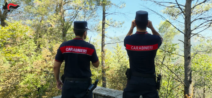 Due Carabinieri Forestali in uniforme osservano con un binocolo un'area boschiva.