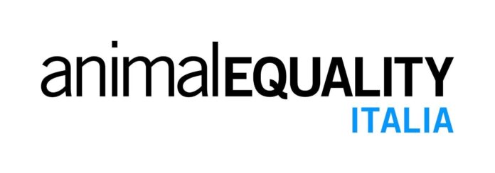 Persone partecipano a una manifestazione organizzata da Animal Equality con cartelloni e installazioni dedicate al benessere degli animali d'allevamento in Europa.