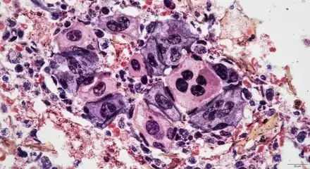 Oltre la Diagnosi