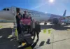 Wizz Air lancia il volo diretto Comiso-Milano Malpensa da ottobre Un gruppo di persone posa davanti a un aereo Wizz Air fermo sulla pista.