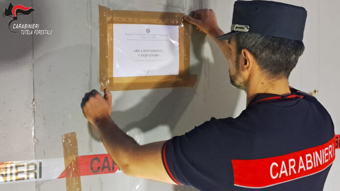 Carabiniere forestale che affigge un avviso di sequestro su una struttura.