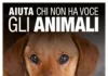 LEIDAA lancia la campagna solidale per il soccorso degli animali dal 10 al 17 ottobre Locandina con il viso di un cane marrone e il testo della campagna solidale LEIDAA per aiutare gli animali dal 10 al 17 ottobre con il numero 45587.