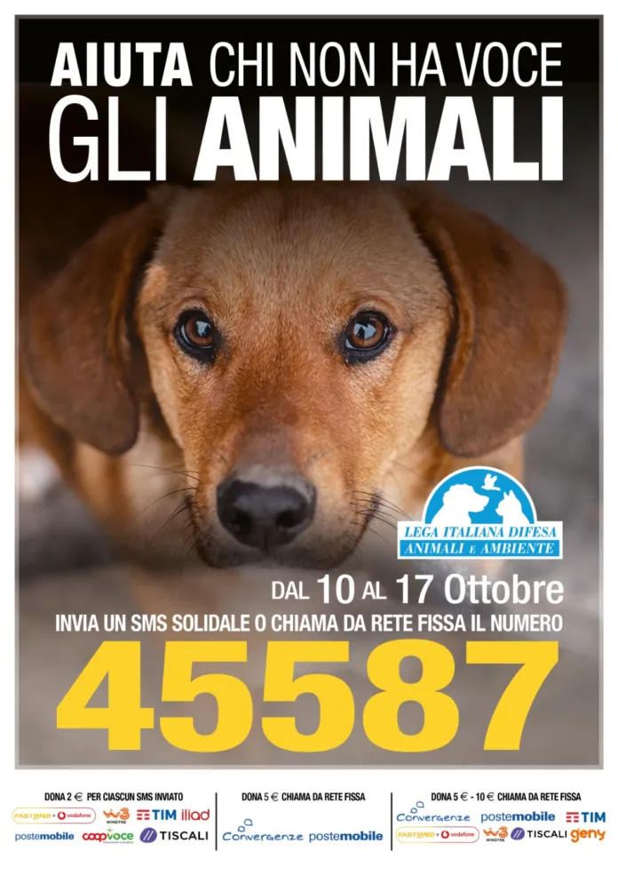 Locandina con il viso di un cane marrone e il testo della campagna solidale LEIDAA per aiutare gli animali dal 10 al 17 ottobre con il numero 45587.