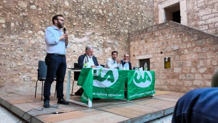 Foto di archivio di un'assemblea di viticoltori nel cortile di un castello storico, circa 300 persone presenti
