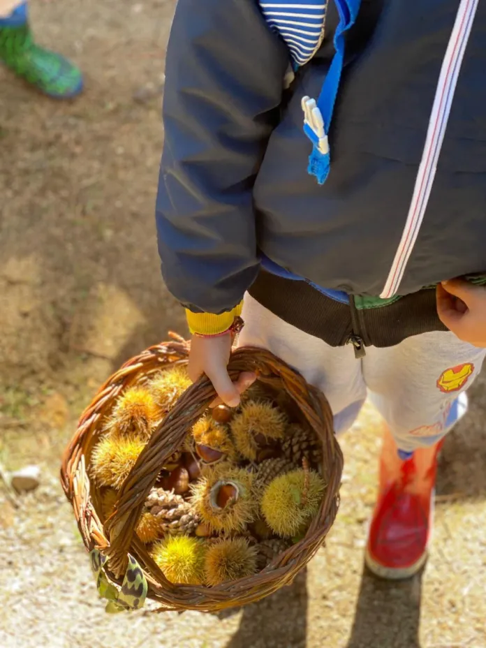 Dettaglio di un bambino con un cestino pieno di castagne.