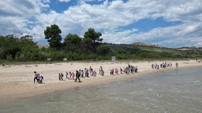 Persone in fila lungo l’arenile; sullo sfondo si vedono vegetazione e colline.