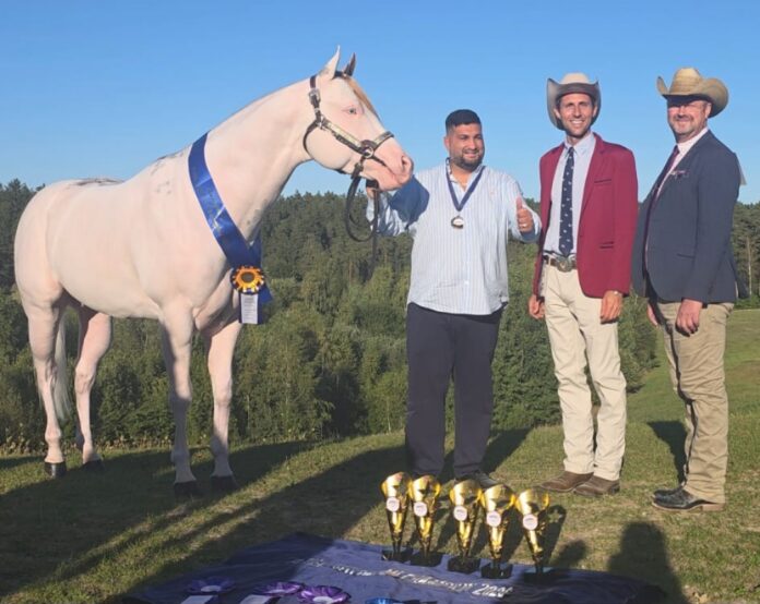 Stallone con medaglia al collo e tre persone con abbigliamento formale all'aperto in un campo con coppe e trofei sul prato.