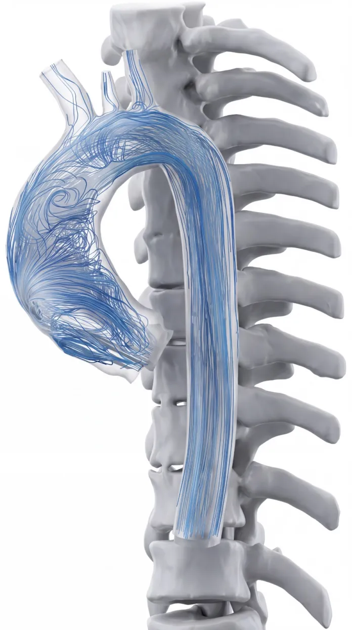 Modello digitale tridimensionale di un vaso sanguigno con simulazione del flusso sanguigno, su sfondo di una colonna vertebrale.