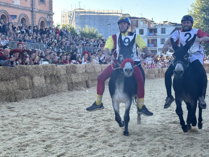 Due concorrenti in gara su asini durante il Palio degli Asini ad Alba, con pubblico sugli spalti e recinto di paglia.
