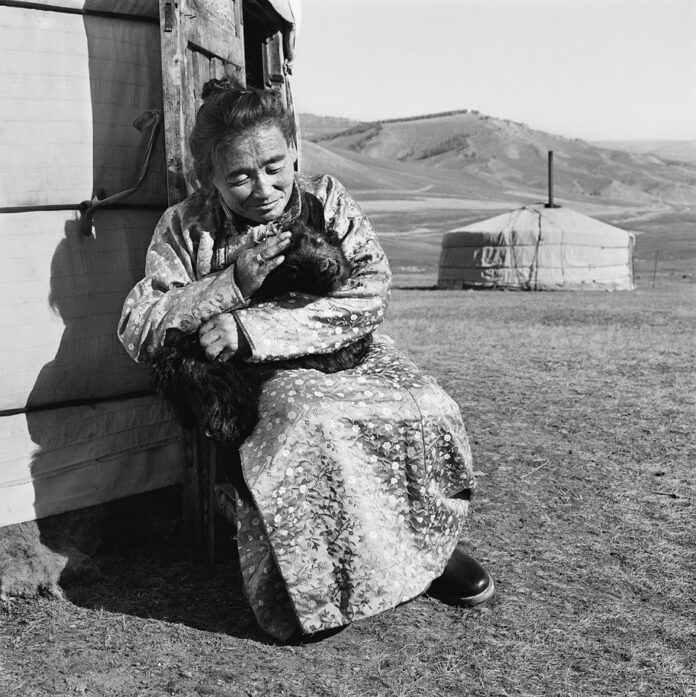 Donna anziana in Mongolia con animale seduta vicino a una tradizionale tenda yurt.