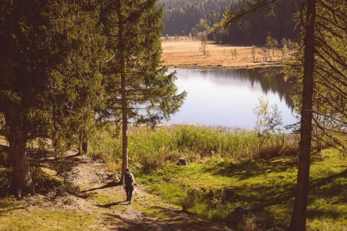 Una persona cammina su un sentiero erboso tra alberi vicino alla riva di un lago.